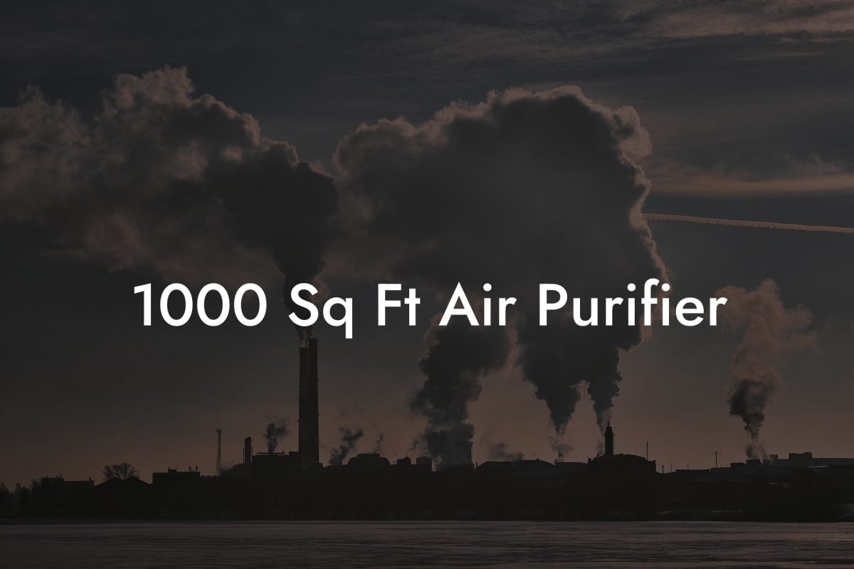 1000 Sq Ft Air Purifier