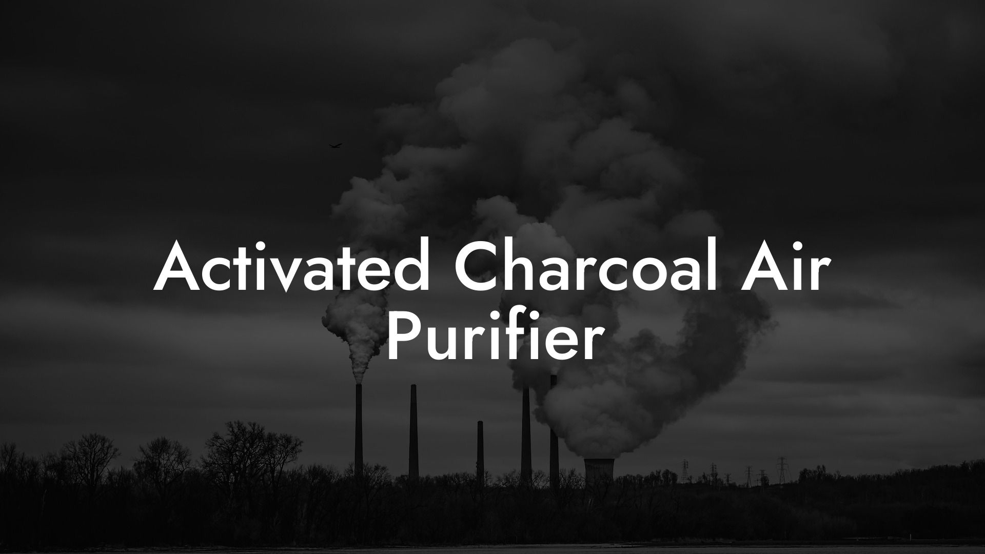 Activated Charcoal Air Purifier