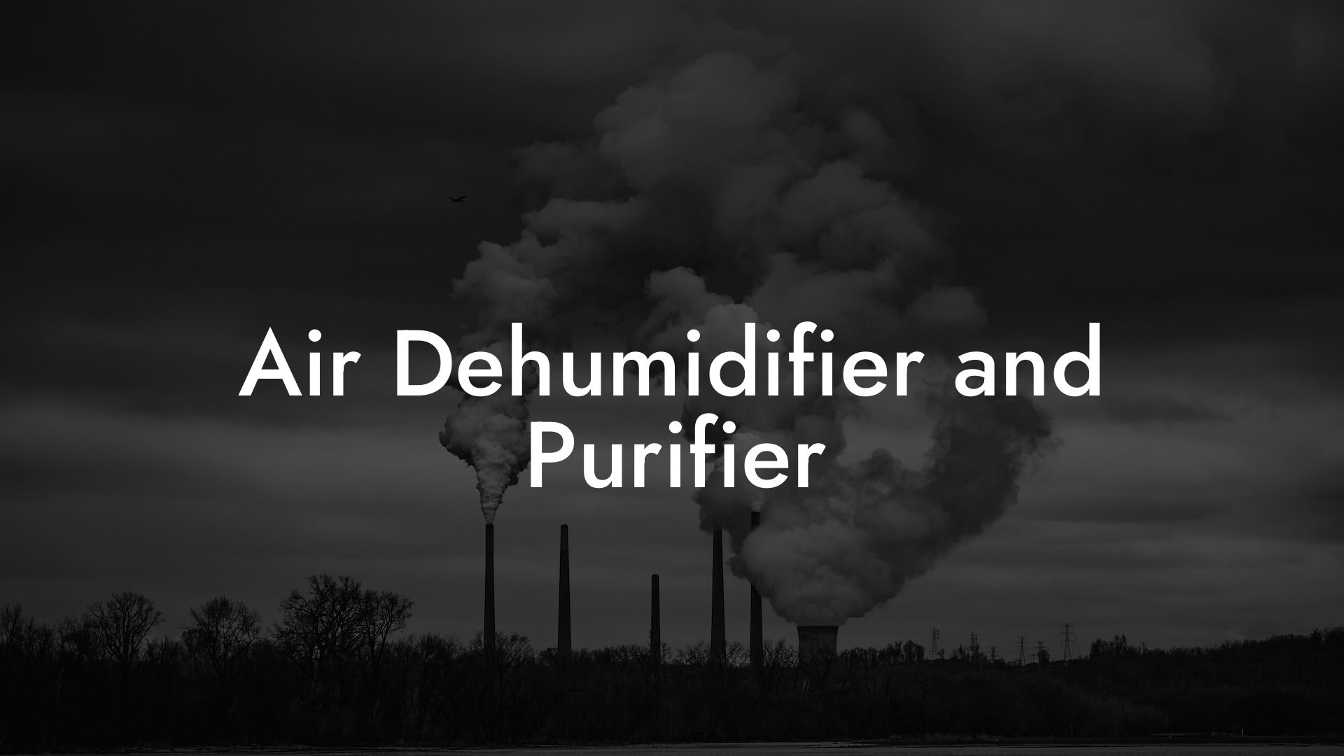 Air Dehumidifier and Purifier