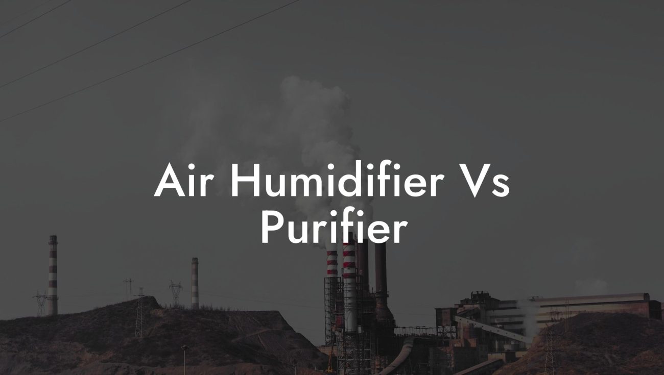 Air Humidifier Vs Purifier