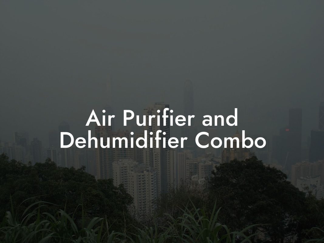 Air Purifier and Dehumidifier Combo