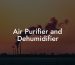 Air Purifier and Dehumidifier