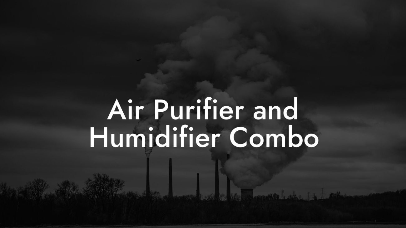 Air Purifier and Humidifier Combo