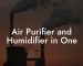 Air Purifier and Humidifier in One