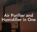 Air Purifier and Humidifier in One