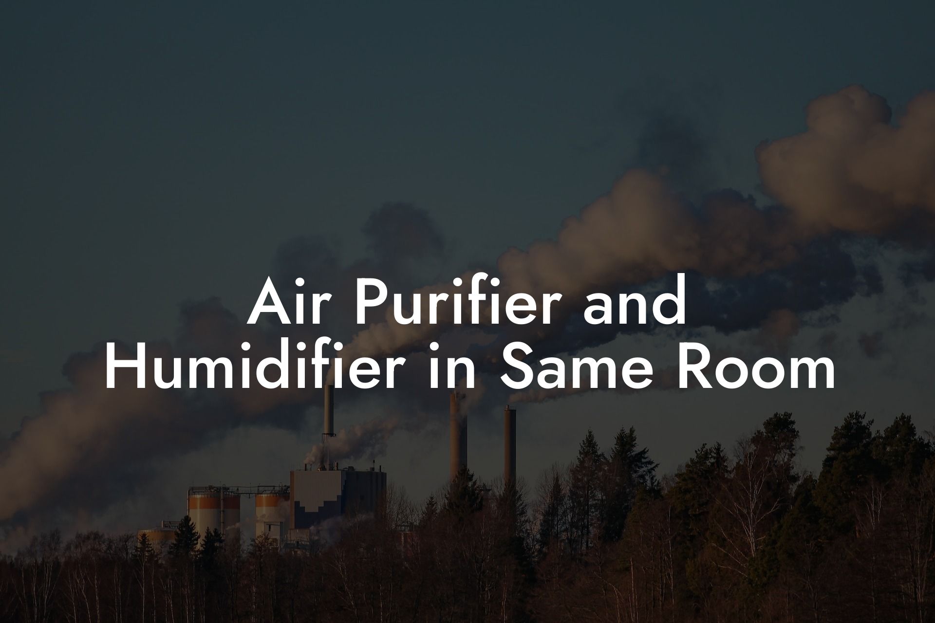 Air Purifier and Humidifier in Same Room