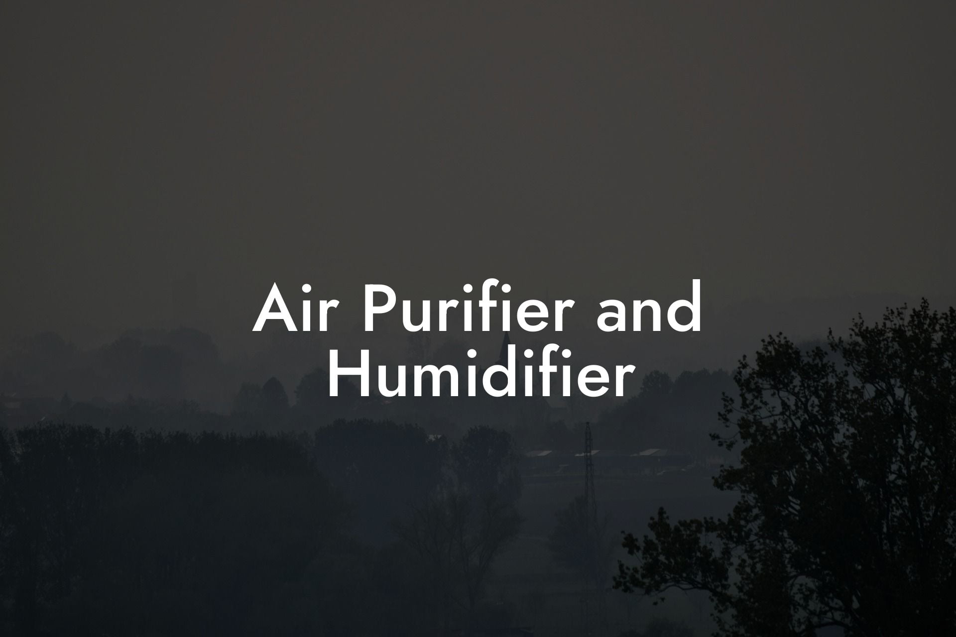 Air Purifier and Humidifier