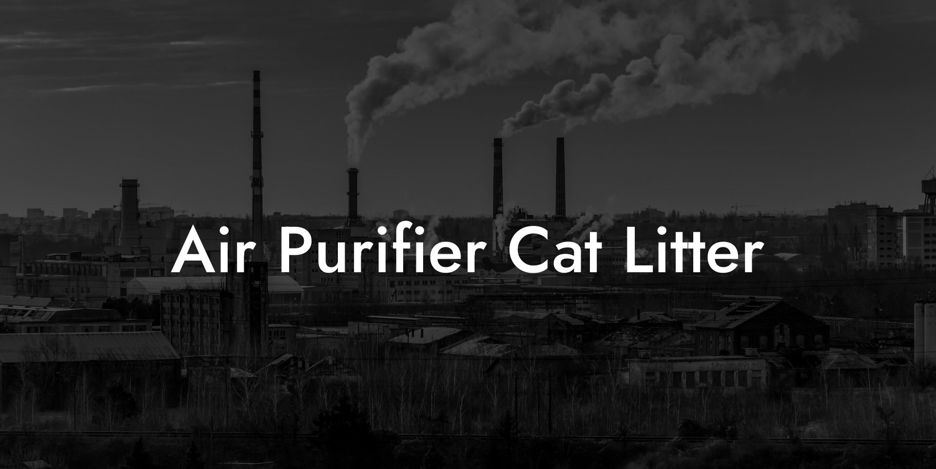 Air Purifier Cat Litter