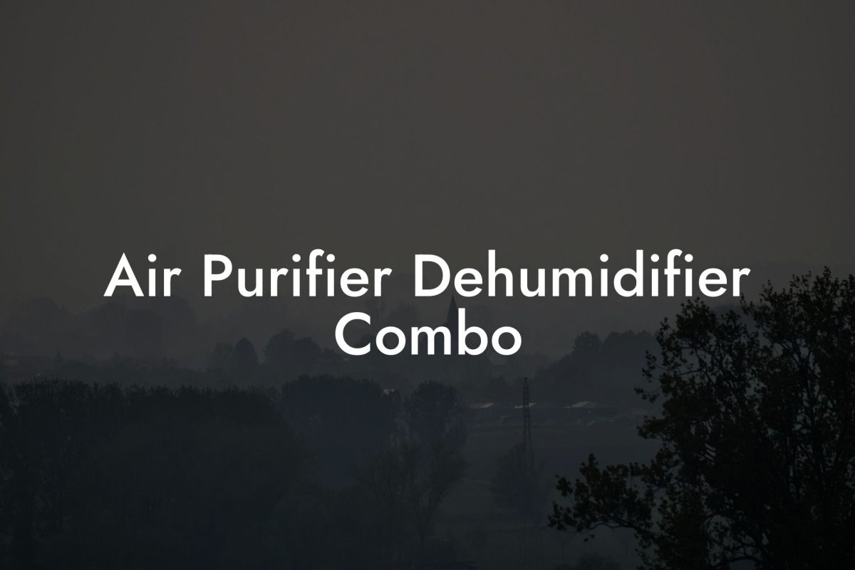 Air Purifier Dehumidifier Combo