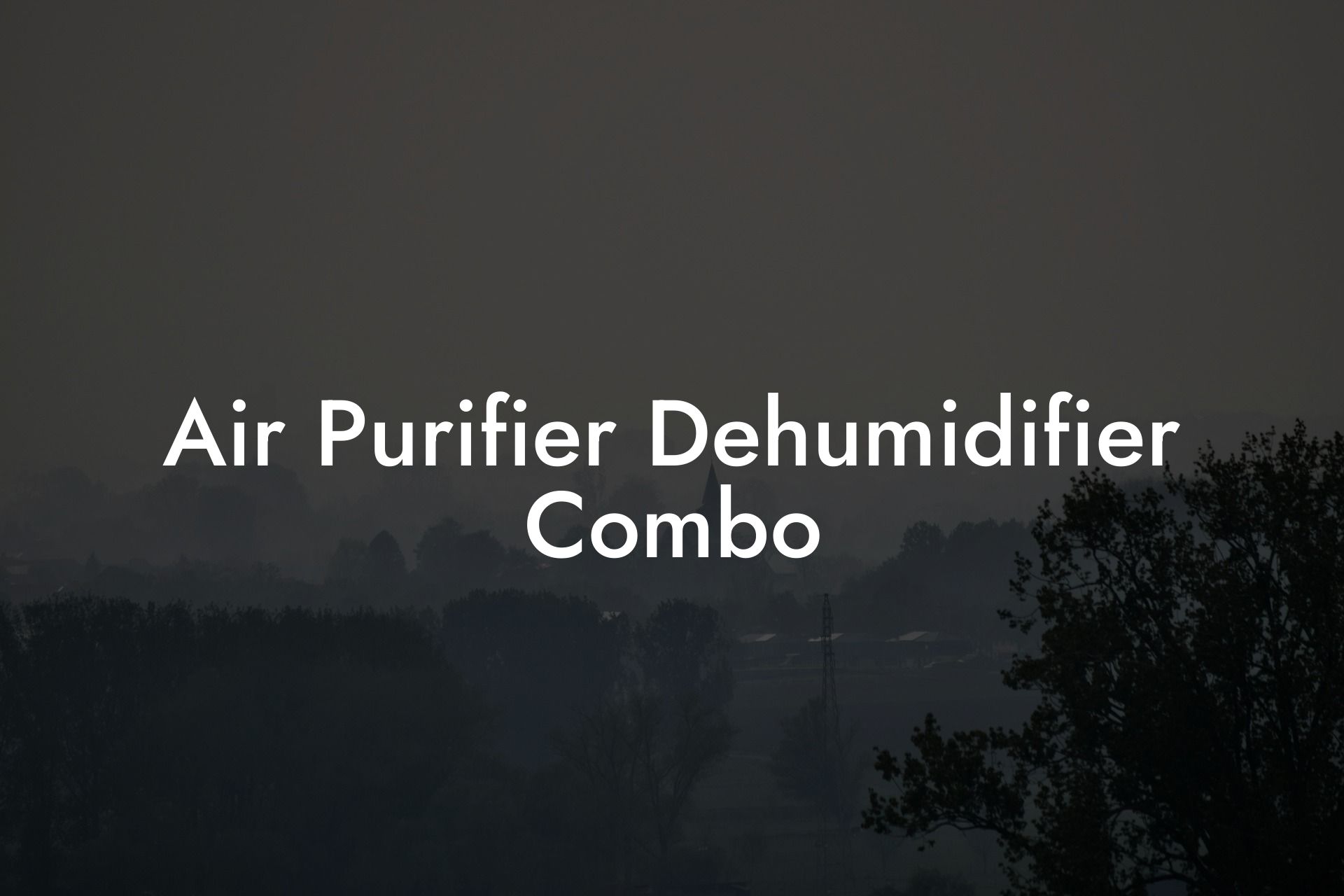 Air Purifier Dehumidifier Combo