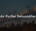 Air Purifier Dehumidifier