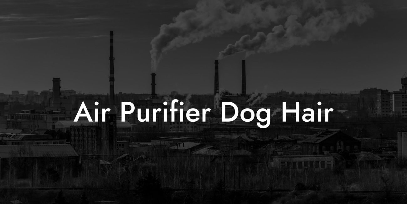 Air Purifier Dog Hair