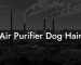 Air Purifier Dog Hair