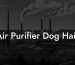 Air Purifier Dog Hair