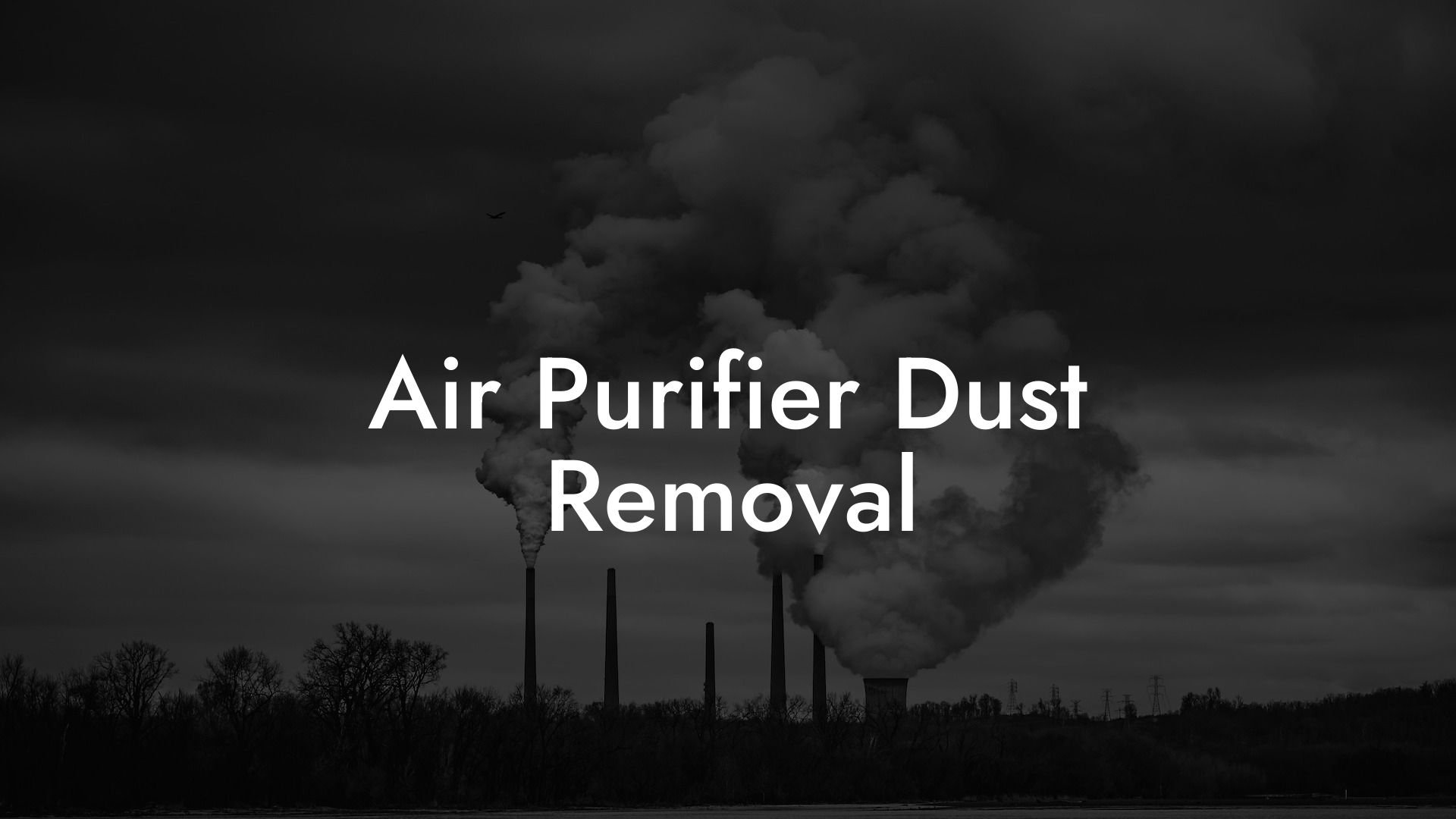 Air Purifier Dust Removal