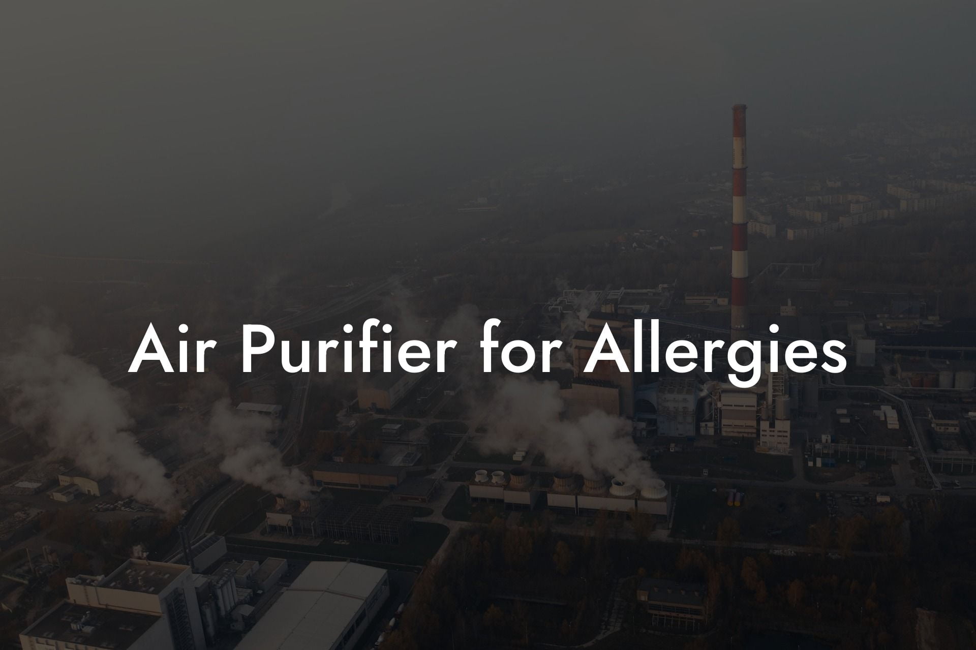 Air Purifier for Allergies