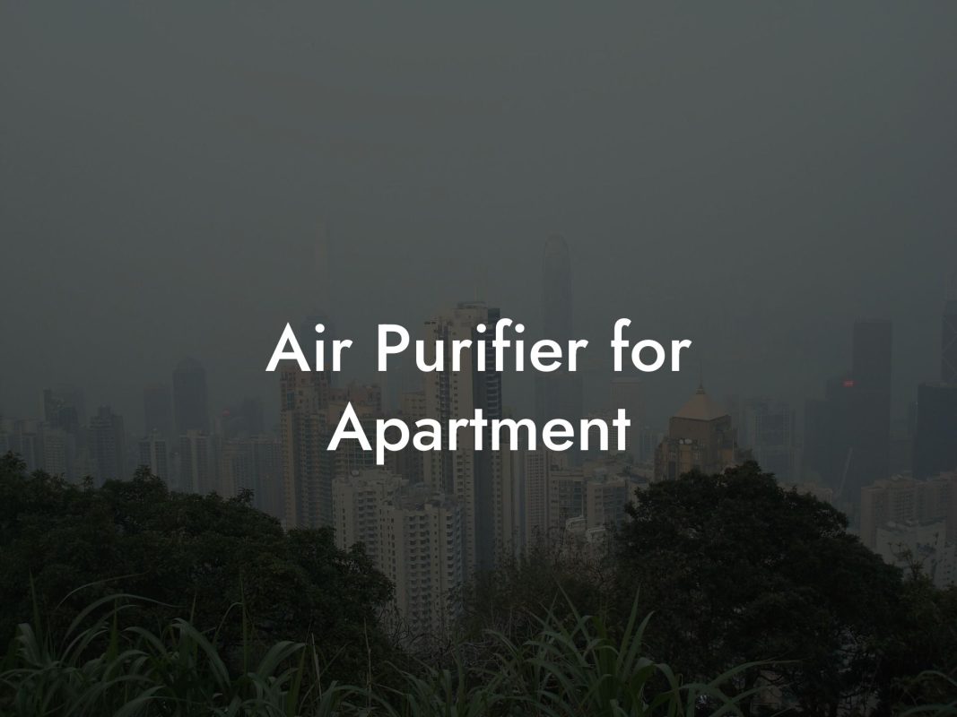 Air Purifier for Apartment