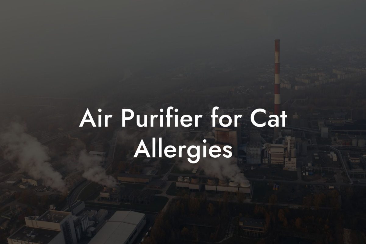 Air Purifier for Cat Allergies