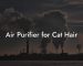 Air Purifier for Cat Hair