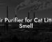 Air Purifier for Cat Litter Smell