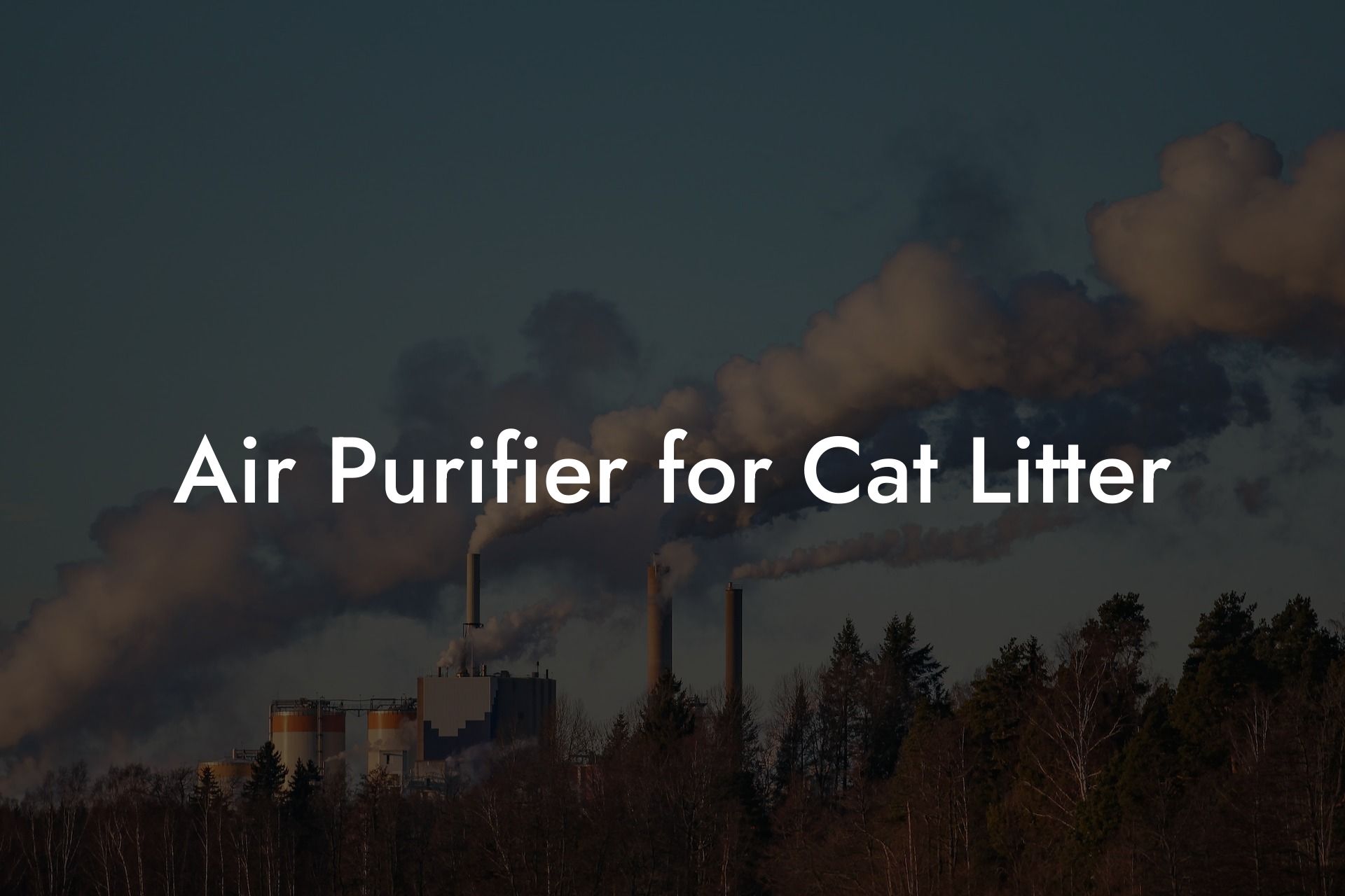 Air Purifier for Cat Litter