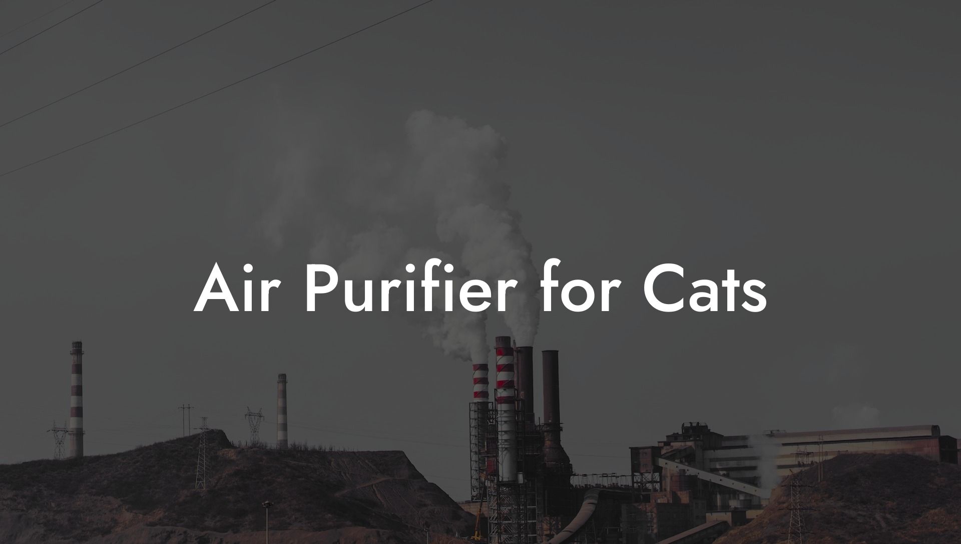 Air Purifier for Cats