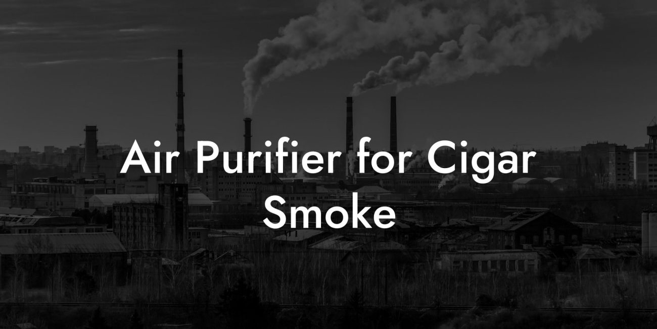 Air Purifier for Cigar Smoke