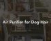 Air Purifier for Dog Hair