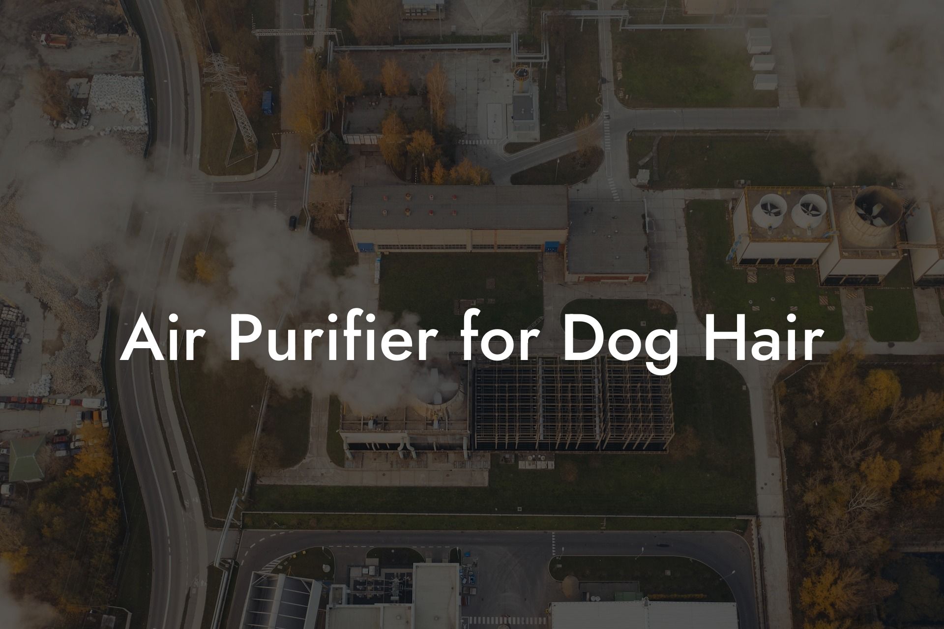 Air Purifier for Dog Hair