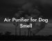 Air Purifier for Dog Smell