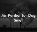 Air Purifier for Dog Smell