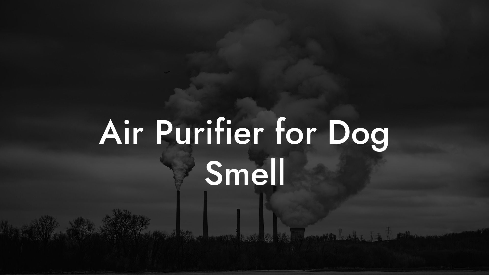 Air Purifier for Dog Smell