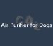 Air Purifier for Dogs