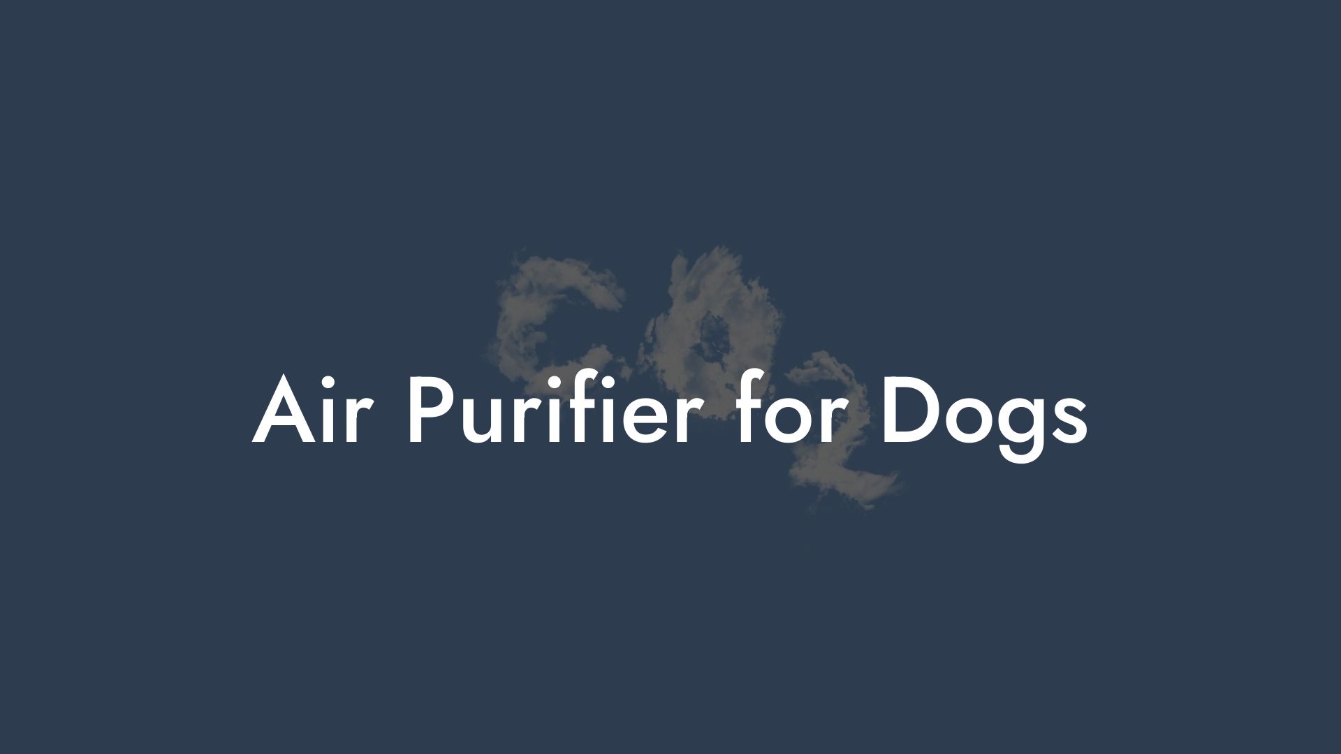 Air Purifier for Dogs