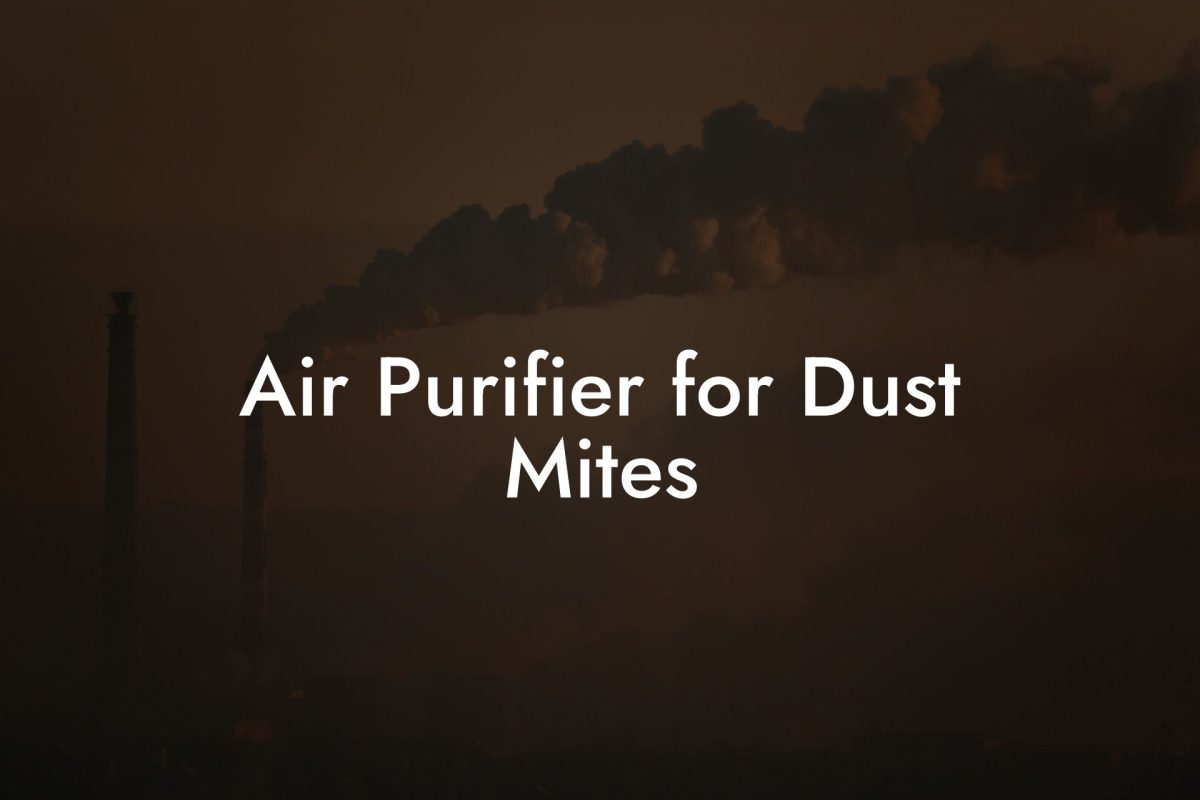 Air Purifier for Dust Mites