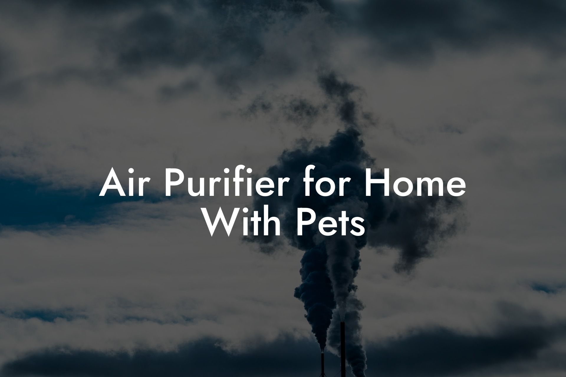 Air Purifier for Home With Pets