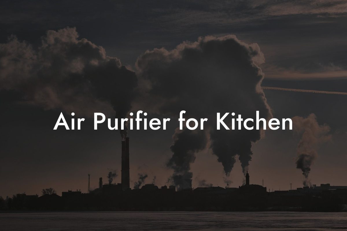 Air Purifier for Kitchen