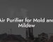 Air Purifier for Mold and Mildew