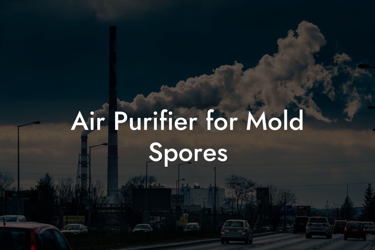 Air Purifier for Mold Spores