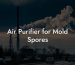 Air Purifier for Mold Spores