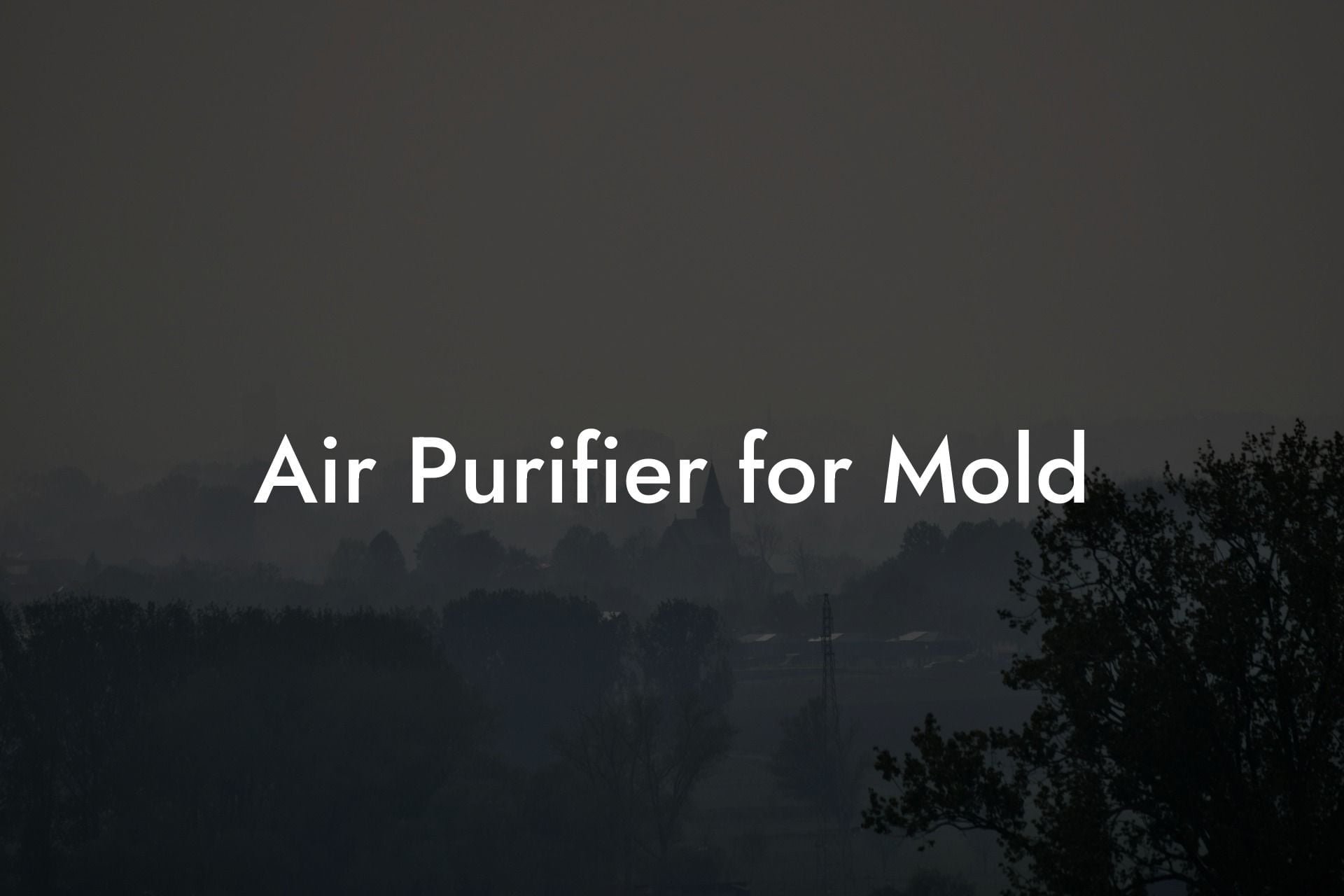 Air Purifier for Mold