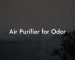 Air Purifier for Odor