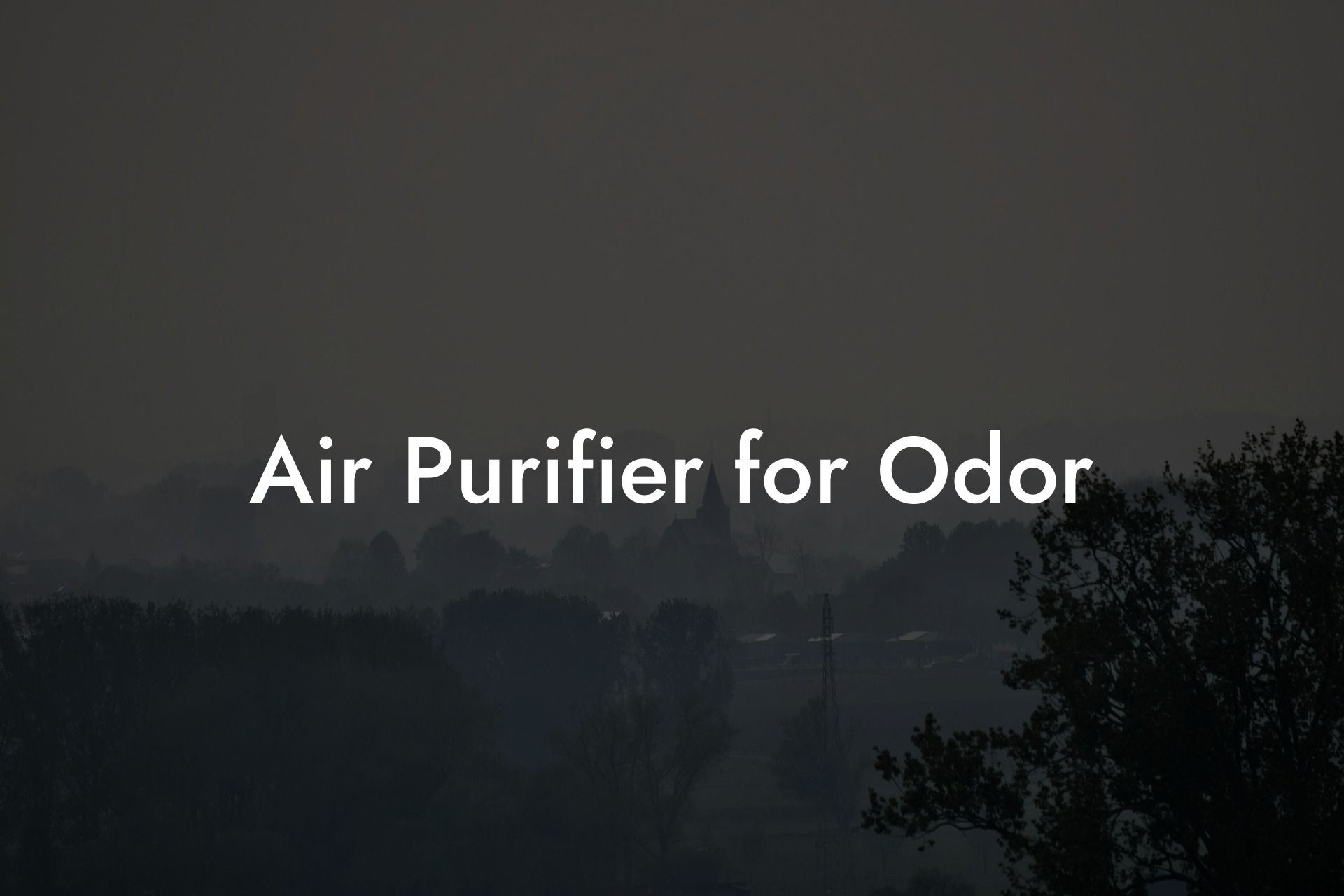 Air Purifier for Odor