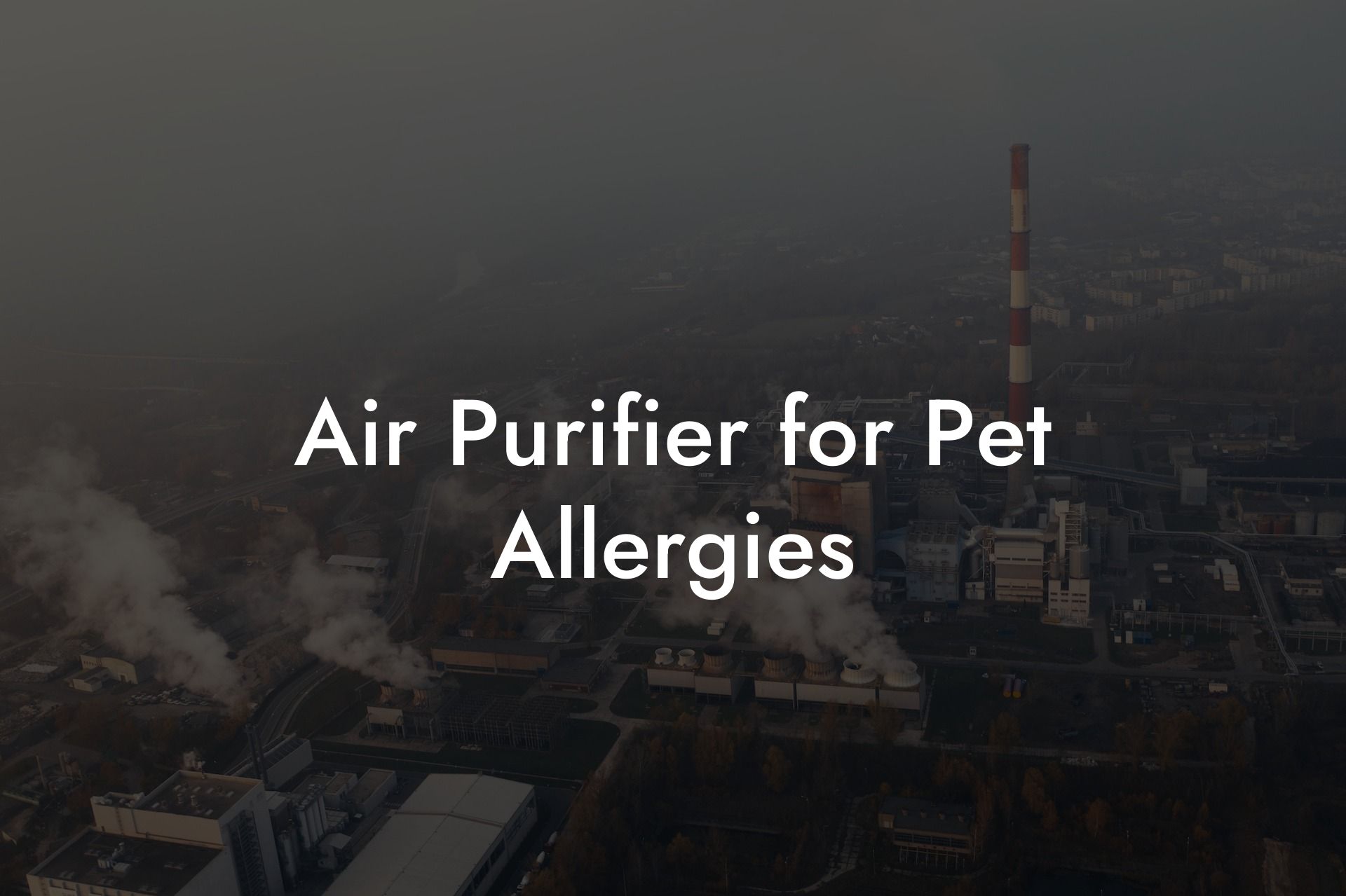 Air Purifier for Pet Allergies