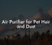 Air Purifier for Pet Hair and Dust