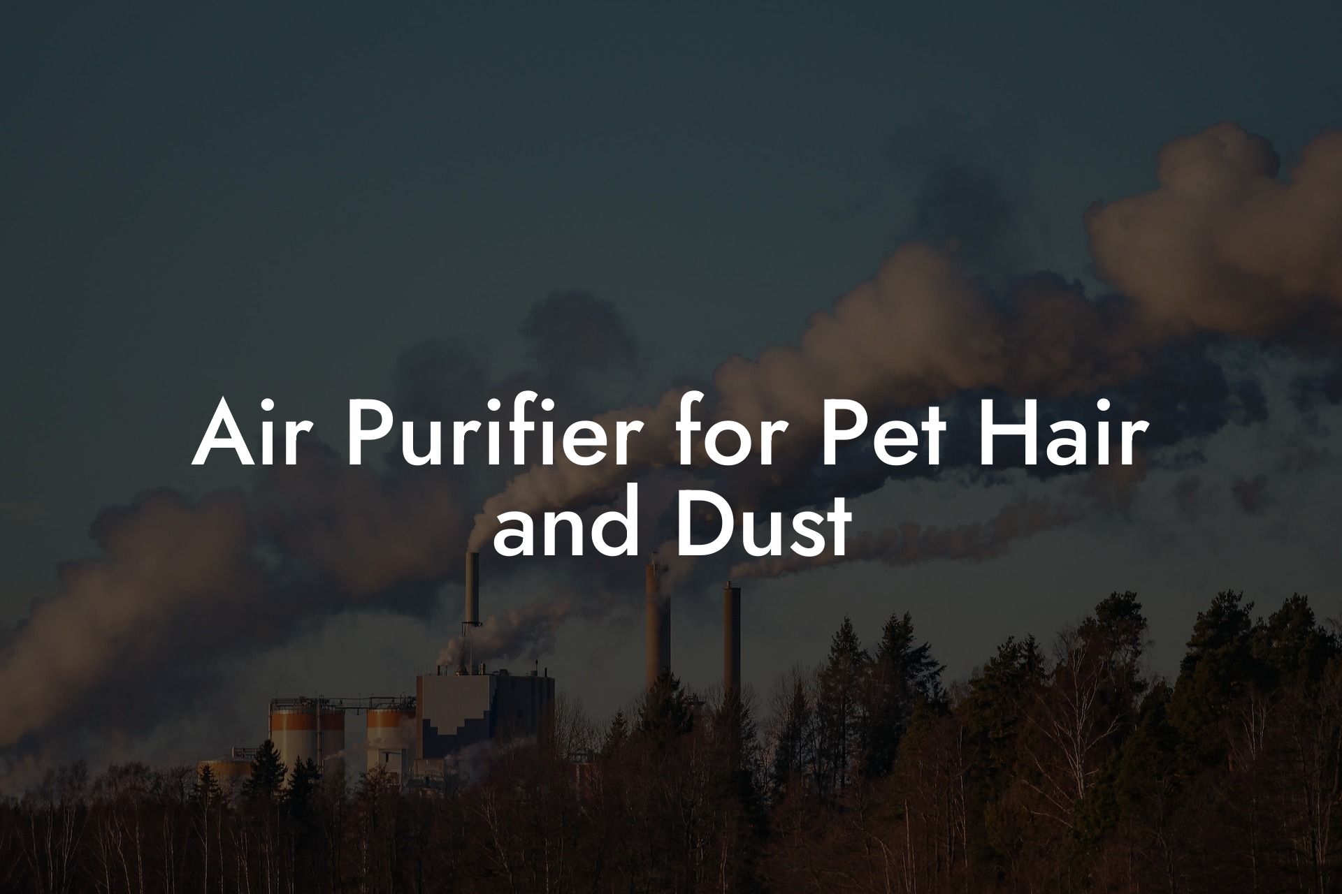 Air Purifier for Pet Hair and Dust