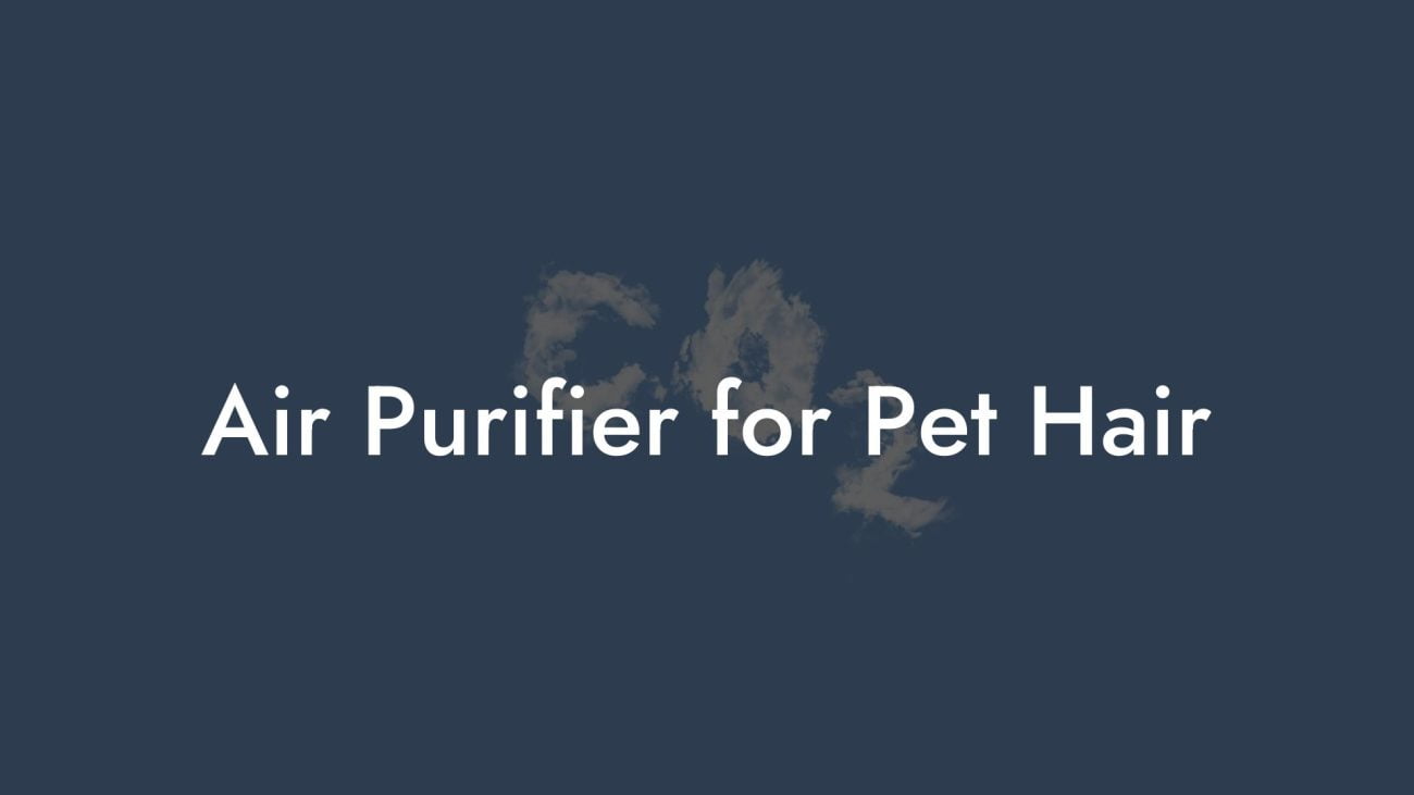 Air Purifier for Pet Hair