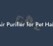 Air Purifier for Pet Hair