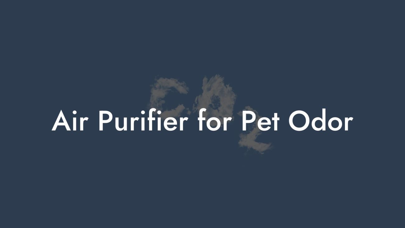 Air Purifier for Pet Odor