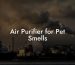 Air Purifier for Pet Smells